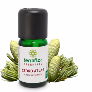 Óleo Essencial Cedro Atlas 10ml