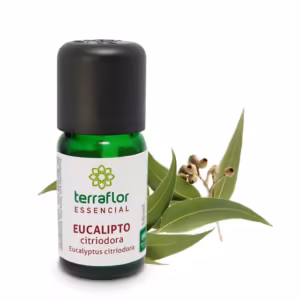 Óleo Essencial Eucalipto Citriodora 10ml Validade Próxima