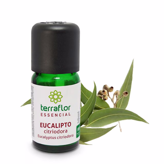 Óleo Essencial Eucalipto Citriodora 10ml Validade Próxima