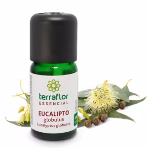 Óleo Essencial Eucalipto Globulus 10ml Validade Próxima