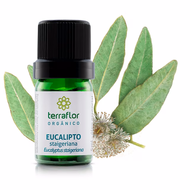 Óleo Essencial Eucalipto Staigeriana 5ml