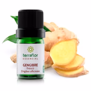 Óleo Essencial Gengibre Fresco 5ml
