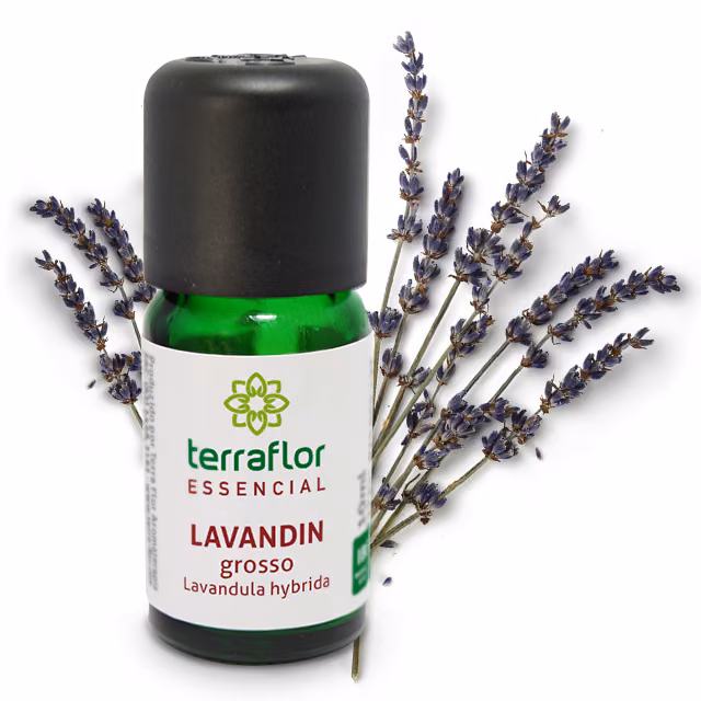 Óleo Essencial Lavandin Grosso 10ml