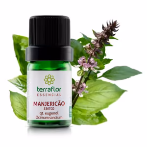 Óleo Essencial Manjericão Santo 5ml