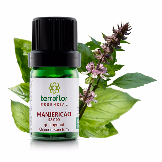 Óleo Essencial Manjericão Santo 5ml