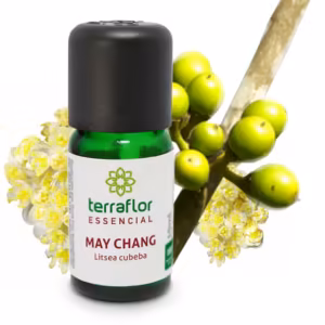 Óleo Essencial May Chang (Litsea Cubeba) 10 ml
