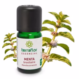 Óleo Essencial Menta Brasileira (Mentha Arvensis) 10 ml