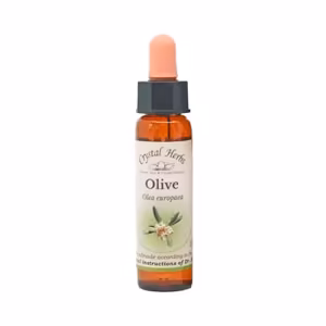 Olive Floral de Bach 10 ml