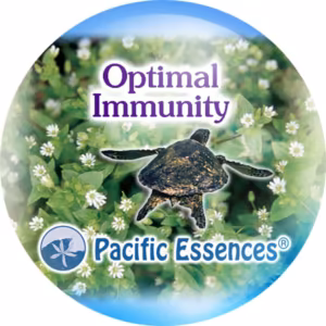 Optimal Immunity Imunidade Essência do Pacífico 25 ml
