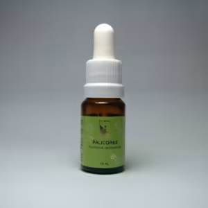 Palicores Floral de Minas 10 ml