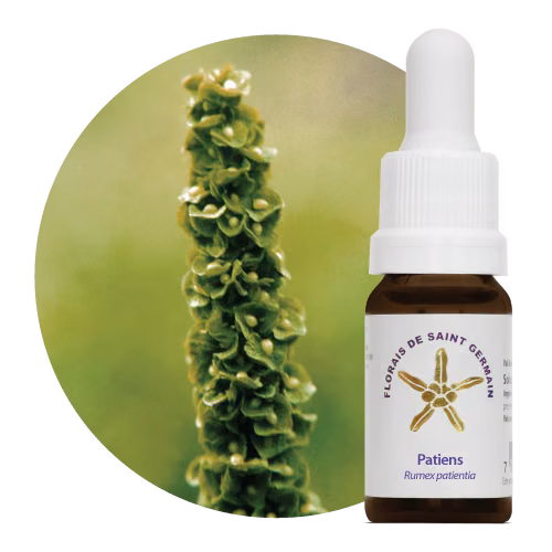 Patiens Floral de Saint Germain 10 ml
