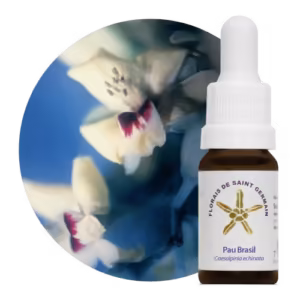 Pau Brasil Floral de Saint Germain 10 ml