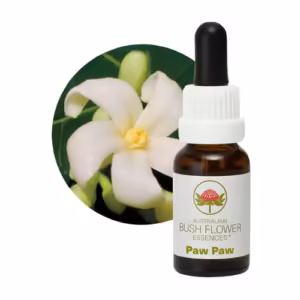 Paw Paw Floral do Bush Australiano 15 ml