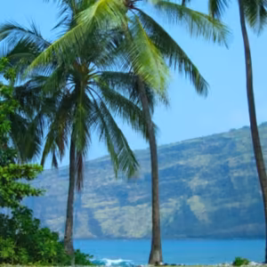 Peace Beach Essência Ambiental do Hawaii