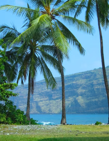 Peace Beach Essência Ambiental do Hawaii