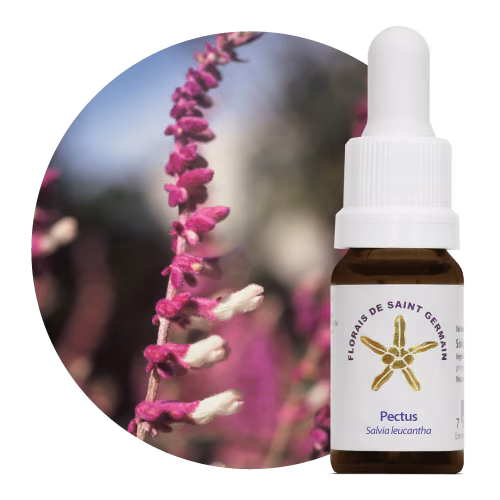 Pectus Floral de Saint Germain 10ml