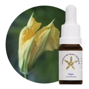Pepo Floral de Saint Germain 10 ml