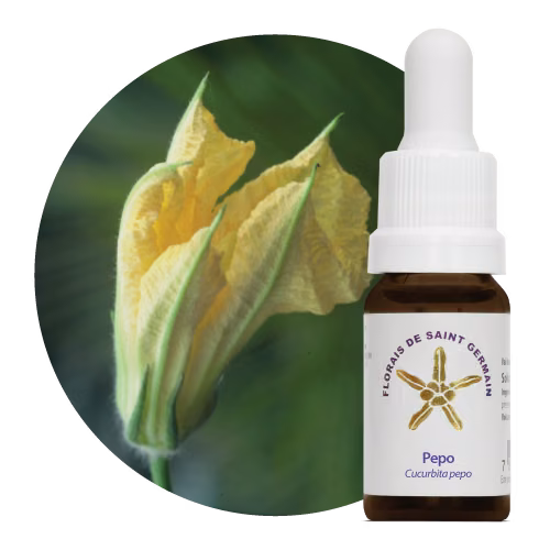 Pepo Floral de Saint Germain 10 ml