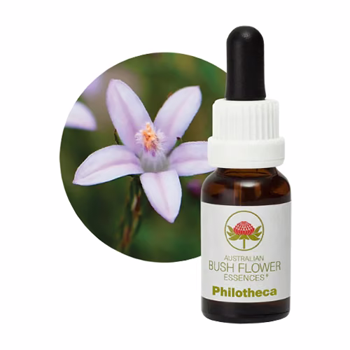 Philotheca Floral do Bush Australiano 15 ml