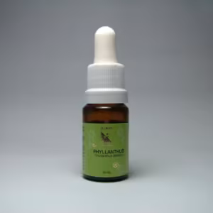 Phyllanthus Floral de Minas 10 ml