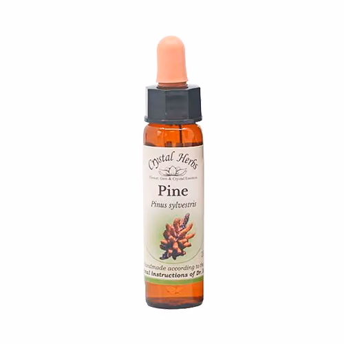 Pine Floral de Bach 10 ml - Imagem 2
