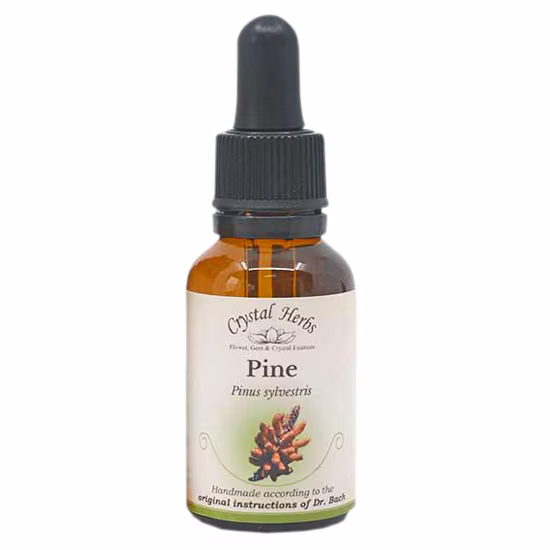 Pine Floral de Bach 20 ml - Imagem 2