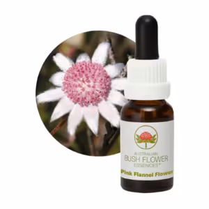 Pink Flannel Flower Floral do Bush Australiano 15 ml