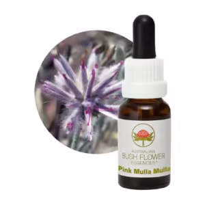 Pink Mulla Mulla Floral do Bush Australiano 15 ml