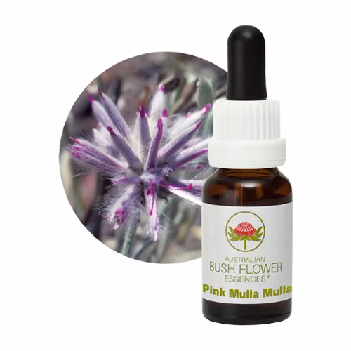 Pink Mulla Mulla Floral do Bush Australiano 15 ml