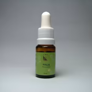 Pinus Floral de Minas 10 ml