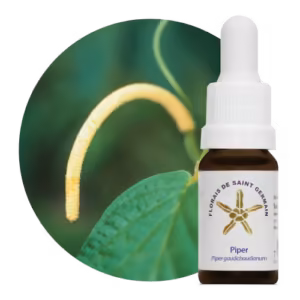 Piper Floral de Saint Germain 10 ml
