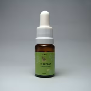 Plantago Floral de Minas 10 ml