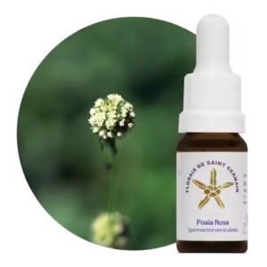 Poaia Rosa Floral de Saint Germain 10 ml