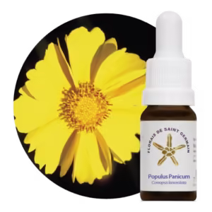 Populus Panicum Floral de Saint Germain 10 ml
