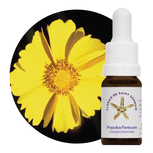 Populus Panicum Floral de Saint Germain 10 ml