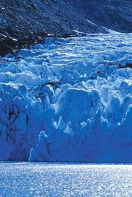 Portage Glacier Essência Ambiental do Alaska