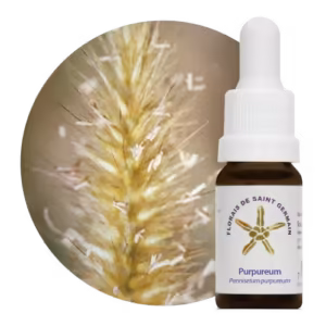 Purpureum Floral de Saint Germain 10 ml