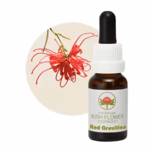 Red Grevillea Floral do Bush Australiano 15 ml