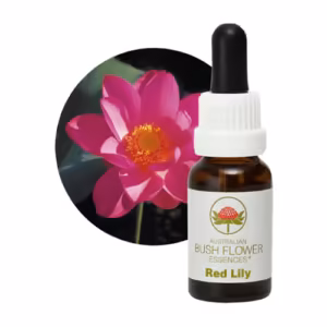 Red Lily Floral do Bush Australiano 15 ml