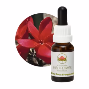 Red Suva Frangipani Floral do Bush Australiano 15 ml