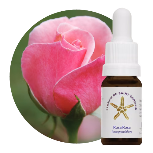 Rosa Rosa Floral de Saint Germain 10 ml