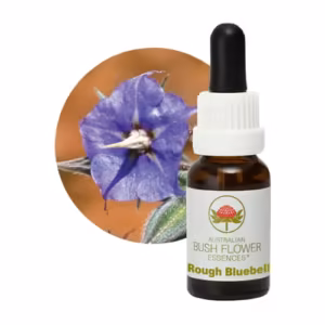 Rough Bluebell Floral do Bush Australiano 15 ml