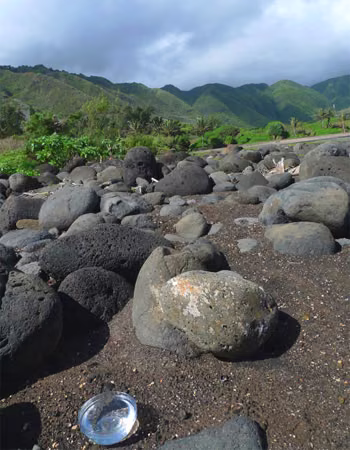 Sacred Quest Essência Ambiental do Hawaii