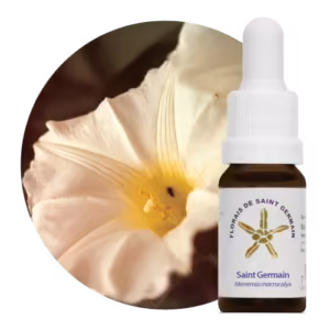 Saint Germain Floral de Saint Germain 10 ml