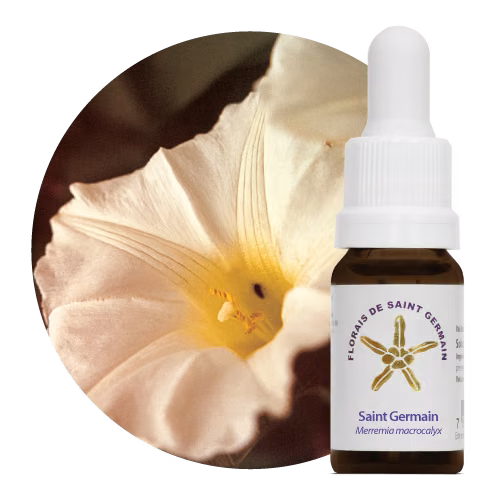 Saint Germain Floral de Saint Germain 10 ml