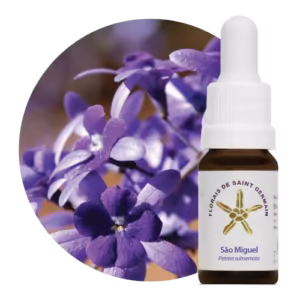 São Miguel Floral de Saint Germain 10 ml