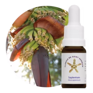 Sapientum Floral de Saint Germain 10 ml