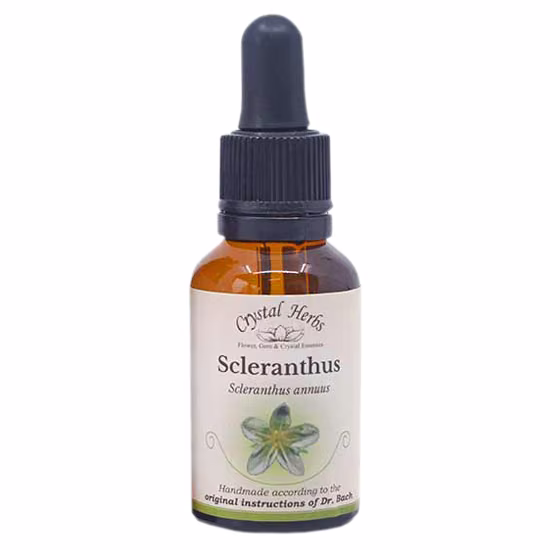Scleranthus Floral de Bach 20 ml - Imagem 2
