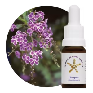 Scorpius Floral de Saint Germain 10 ml