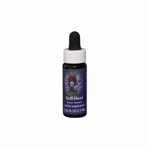 Self Heal Floral da Califórnia - Imagem 3